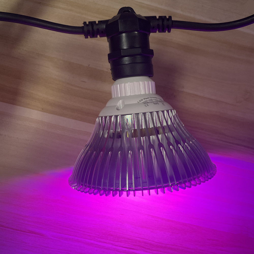 10M Kablo LED Dize Işık Zincir - Outdoor Lighting And Landscape incelemesi ve fiyatı